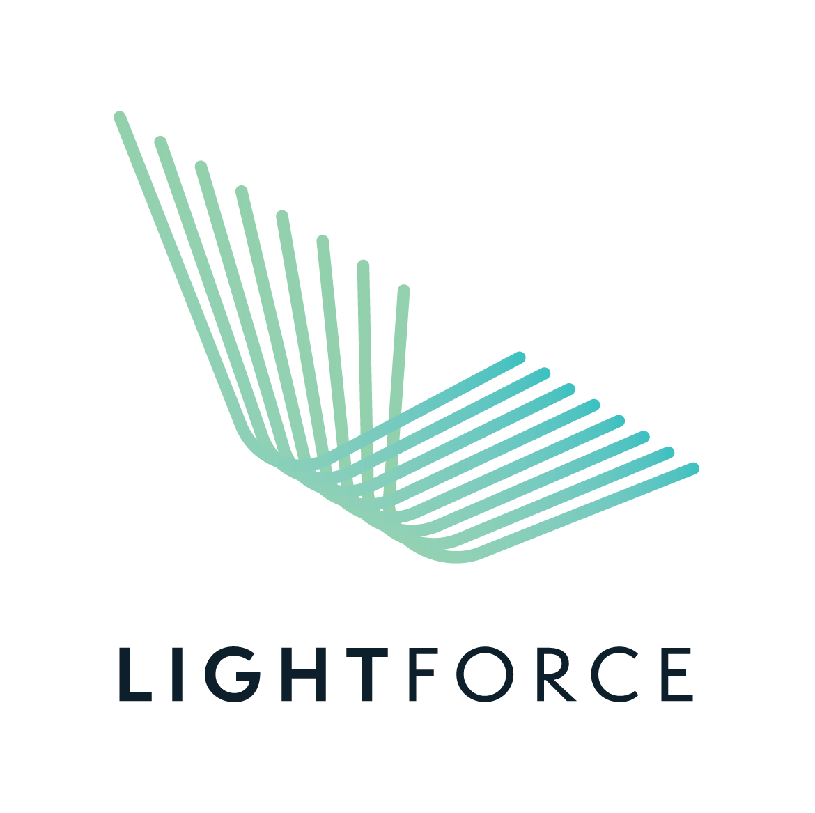 Lightforce_LogoandLogotype